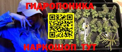 mdpv Будённовск