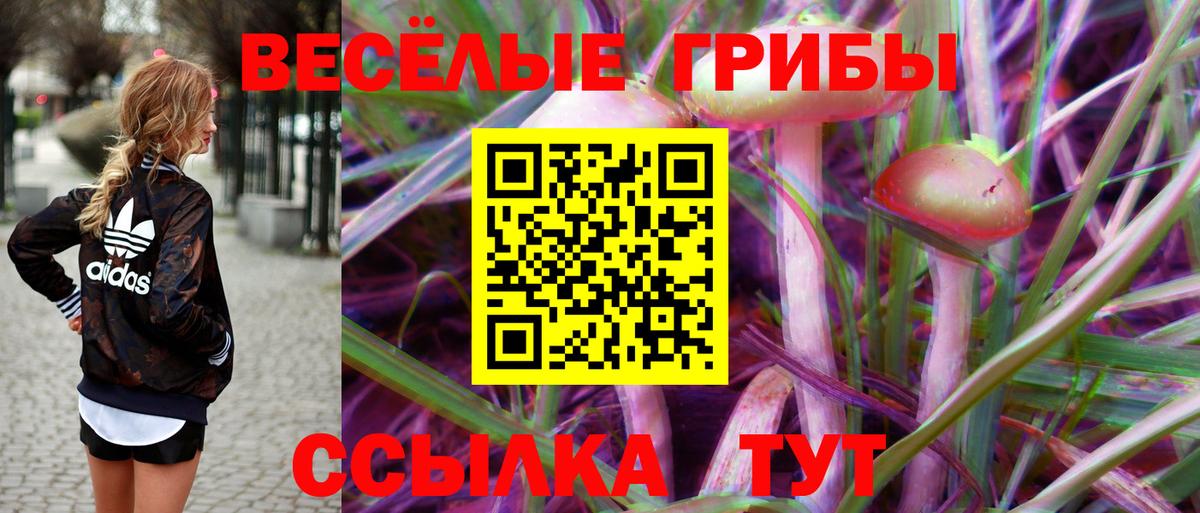 Кулебаки  Галлюциногенные грибы прущие грибы  Вход с VPN 