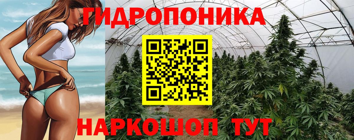 Бошки марихуана планчик  Вход с VPN  МАРИХУАНА марихуана  Канабис марихуана  Кулебаки 